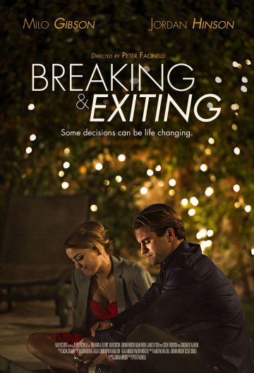 Проникновение и бегство / Breaking & Exiting (2018)