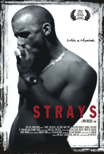 Бродяги / Strays (1997)