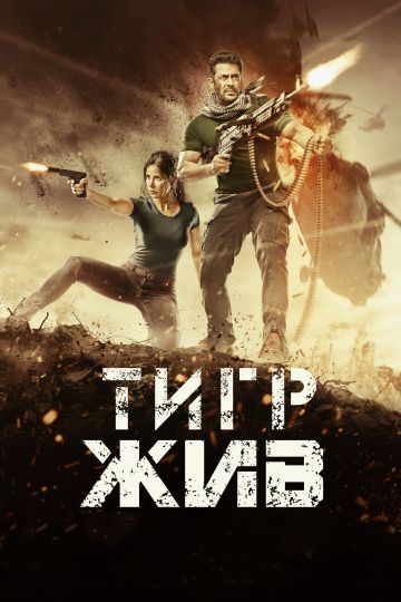 Тигр жив / Tiger Zinda Hai (2017)