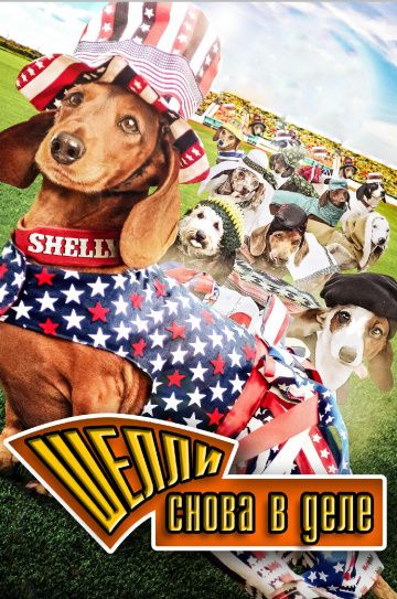 Шелли снова в деле / Wiener Dog Internationals (2015)