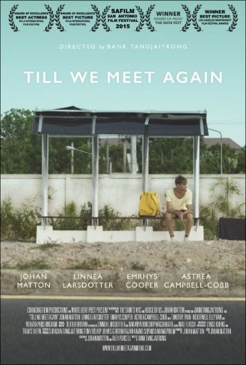 Пока мы не встретимся снова / Till We Meet Again (2016)