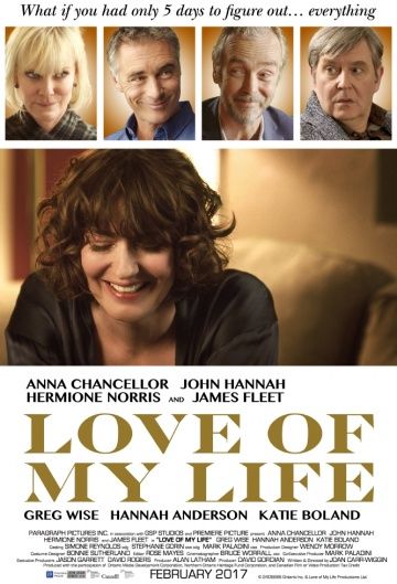 Любовь всей моей жизни / Love of My Life (2017)