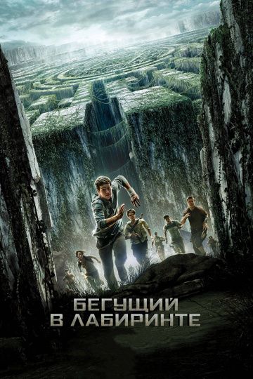 Бегущий в лабиринте / The Maze Runner (2014)