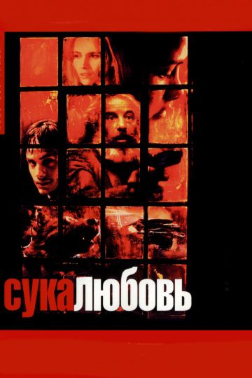 Сука-любовь / Amores perros (2000)