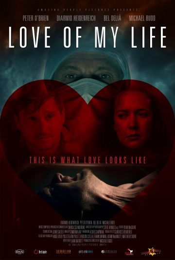 Любовь моей жизни / Love of my Life (2013)