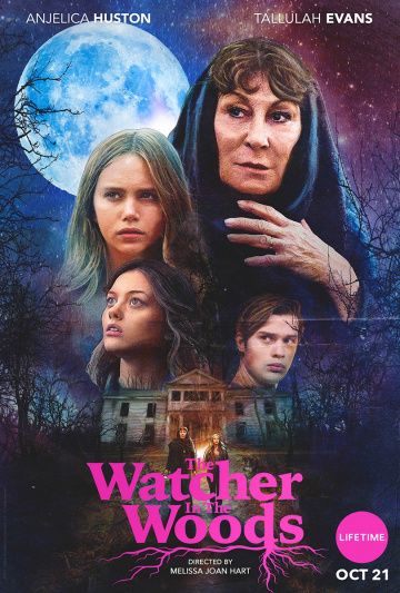 Лесной наблюдатель / The Watcher in the Woods (2017)