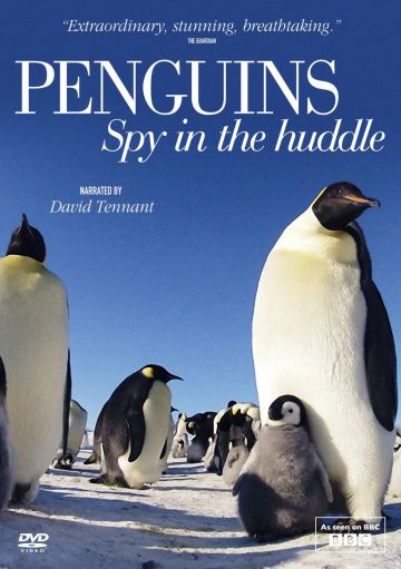 Пингвины: Шпион в толпе / Penguins: Spy in the Huddle (2013)