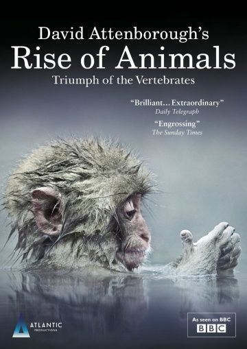 Восстание животных: Триумф позвоночных / Rise of Animals: Triumph of the Vertebrates (2013)