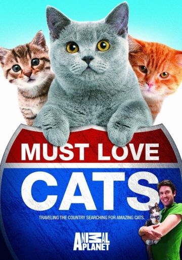 Кошек не любить нельзя / Must Love Cats (2011)