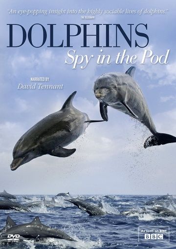 Дельфины скрытой камерой / Dolphins: Spy in the Pod (2014)