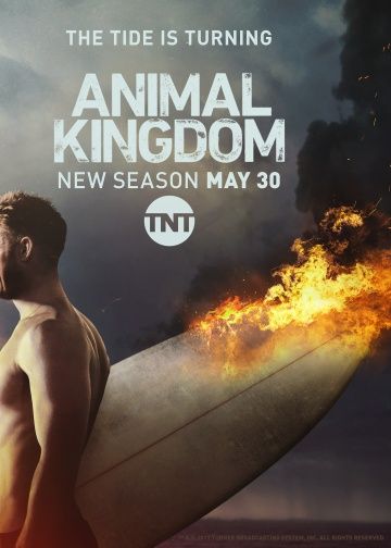 По волчьим законам / Animal Kingdom (2016)