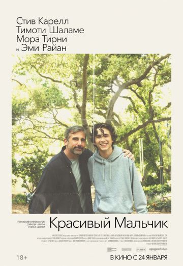 Красивый мальчик / Beautiful Boy (2018)