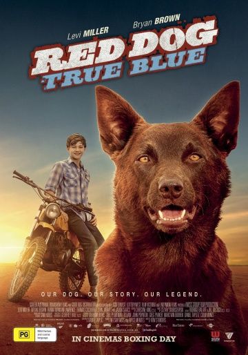 Рыжий пес: Самый верный / Red Dog: True Blue (2016)