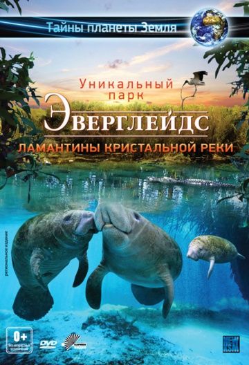 Эверглейдс 3D: Ламантины Кристальной реки / Adventure Everglades 3D: The Manatees of Crystal River (2012)