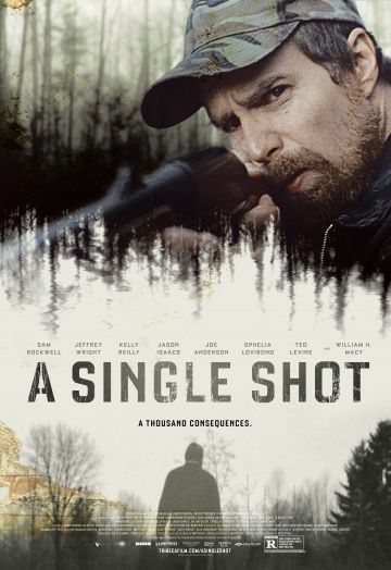 Единственный выстрел / A Single Shot (2013)